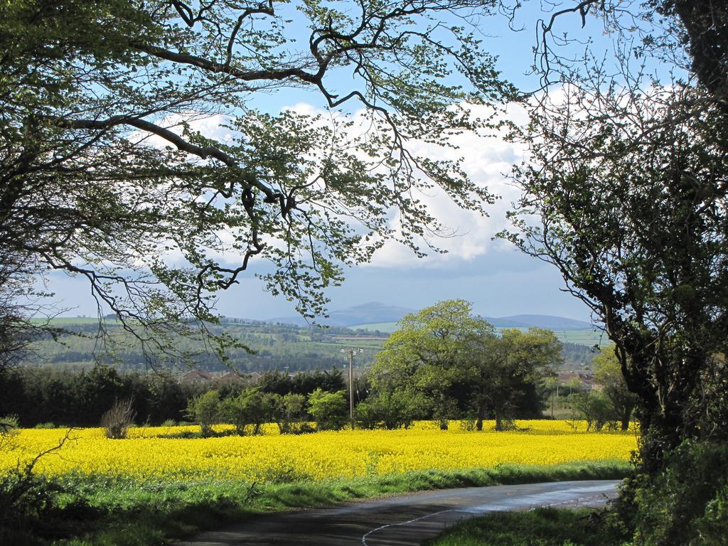 Moneylands Farm B&B Arklow Buitenkant foto